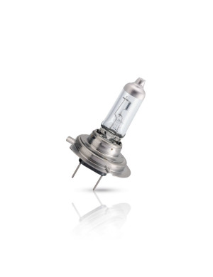 Philips 36200830 Halogen Leuchtmittel Longlife H7 55W 12V