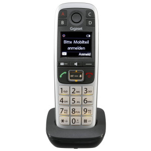 Gigaset Mobilteil E560HX platin (inkl. Ladeschale) - Passend fr