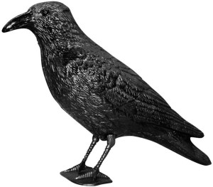 Swissinno raven Taubenabwehr-Rabe Funktionsart Abschreckung 1St.