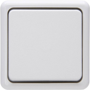 Kopp Taster Aufputz-Standard Arktis-Wei 514402000