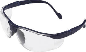 Protectionworld 2012010 Schutzbrille Schwarz