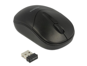 Delock Maus mini optisch 3-Tasten 2,4 GHz wireless