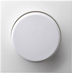 GAO Einsatz Dimmer Modul Wei EFP701DC
