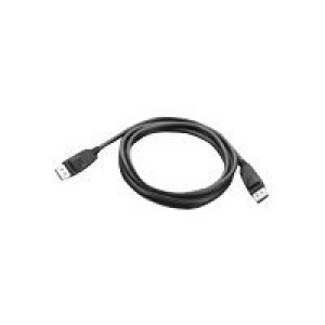 Lenovo DisplayPort Anschlusskabel DisplayPort Stecker, DisplayPort