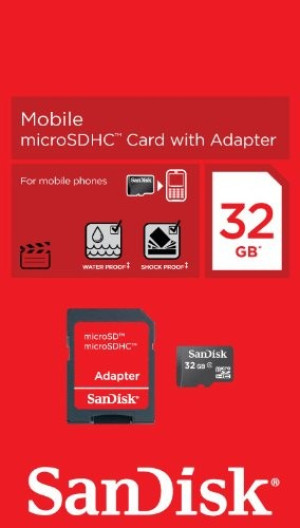 SanDisk SDSDQM-032G-B35 microSDHC-Karte 32GB Class 4