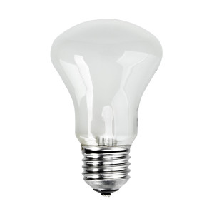 Elinchrom Einstelllicht 196V/100W E 27