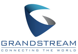 Grandstream POE-Injektor 48V 24W