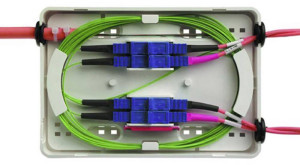 Telegrtner LWL-Spleibox Unbestckt