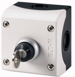 Eaton M22-WRS/KC11/I Schlsseltaster Grau 1St.