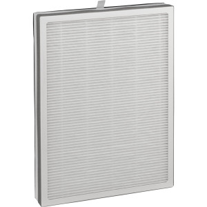 Beurer 66007 LR 500 Ersatz-Filter