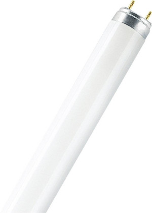 Osram Leuchtstoffrhre EEK: G (A - G) G13 58W Warmwei Rhrenform (