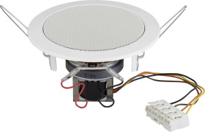 Visaton DL 10 (RAL 9005) - 8 Ohm Deckenlautsprecher 8 1St.