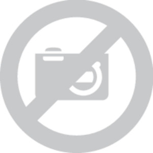 Wagner 517313 HEA Dse 313, Control Pro-Serie Dse