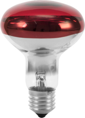 Eurolite 9210360U Halogen E27 Reflektor 60W Rot 1St.