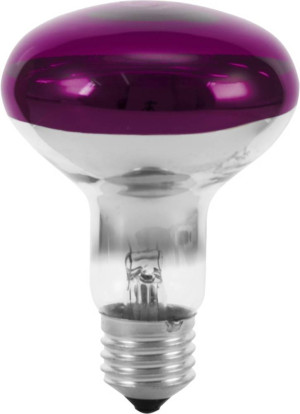 Eurolite 9210440U Halogen E27 Reflektor 60W Violett ( x L) 80mm x