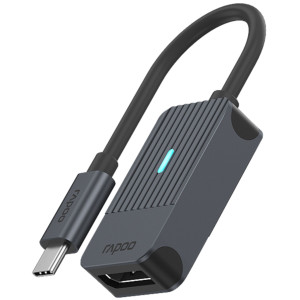 Rapoo USB-C Adapter, USB-C auf DisplayPort grau