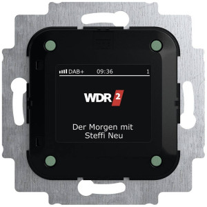 Busch-Jaeger Einsatz Radio 2CKA008200A0275