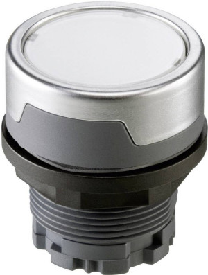 Schlegel RMCTKL RMCTKL Drucktaster Silber-Grau
