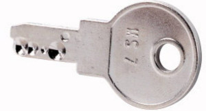 Eaton M22-ES-MS7 Schlssel Silber 1St.