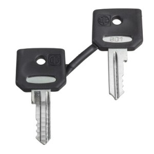 Schneider Electric ZBG421E Ersatzschlssel 1St.