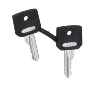 Schneider Electric ZBG455 Schlssel 1St.