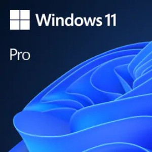 Microsoft Windows 11 Pro | Download & Produktschlssel