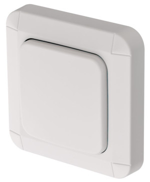 Brennenstuhl BrematicPRO Wandschalter