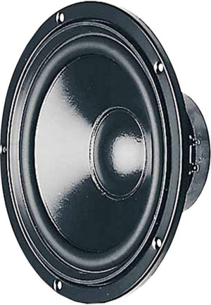 Visaton W 200 S - 4 Ohm 8 Zoll 23.2cm Tieftner 75W 4