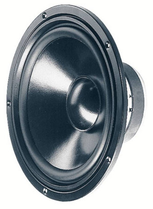 Visaton W 250 S - 8 Ohm 10 Zoll 25.4cm Tieftner 100W 8