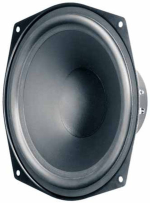 Visaton WS 20 E - 4 Ohm 8 Zoll 20.32cm Tieftner 80W 4