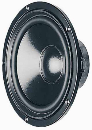 Visaton W 200 S - 8 Ohm 8 Zoll 20.32cm Tieftner 75W 8