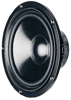 Visaton W 170 S - 4 Ohm 6.7 Zoll 17cm Tieftner 50W 4