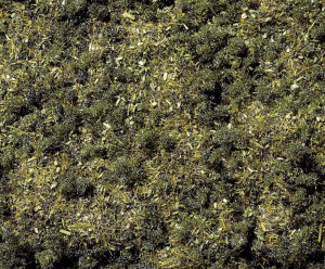 NOCH 8350 Streugras Waldboden Dunkelgrn