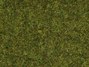 NOCH 07117 Wildgras Beige, Braun
