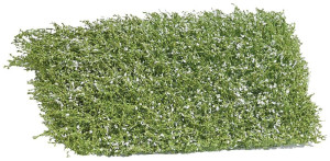 Busch 3595 Strauch blhend 35mm Wei