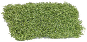 Busch 3596 Strauch Frhling 35mm