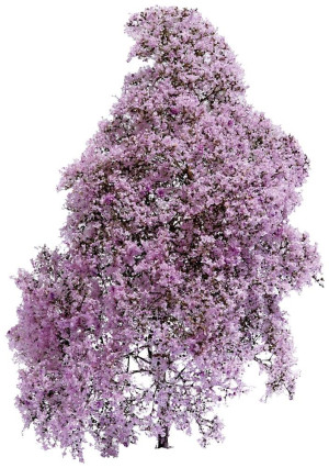 Busch 3587 Frhling Lila, Blhend