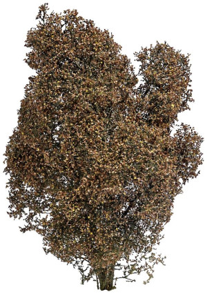 Busch 3590 150mm Herbst