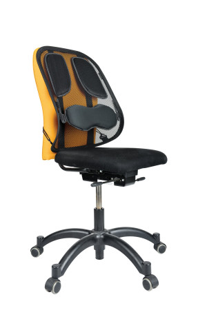 Fellowes Rckensttze Professional Series graphit