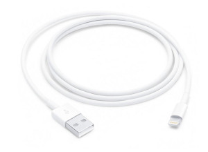 Apple Lightning auf USB Cable (1m)