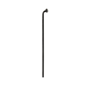 DT Swiss Raggio DT Champion 2.0 x 304mm - nero