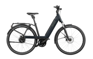 RIESE&MÜLLER Riese & Müller - Nevo3 Vario Business 47cm / Purion / Abus Shield con catena e custodia / antifurto ruota anteriore - Lunar Grey Metallic