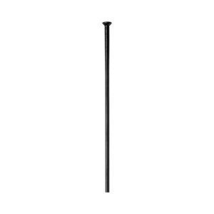 DT Swiss Raggio DT Champion 2.0 x 282mm - nero