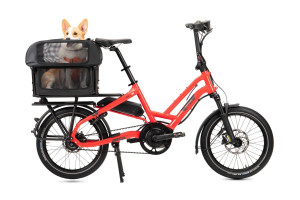 Tern Tern - Dog Roof Mini