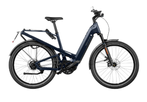 RIESE&MÜLLER Homage GT Rohloff HS - TEST BIKE