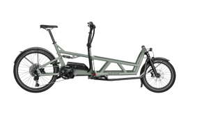 RIESE&MÜLLER Load4 60 touring