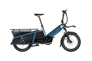 RIESE&MÜLLER Multitinker Vario 625wh petrol/black matt - Kiox 300 - Kit safety bar - RX Chip