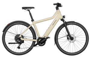 RIESE&MÜLLER Culture touring 56cm