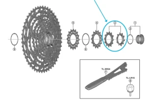 SHIMANO Shimano - Unità pignone CS-M9100 10B/12D