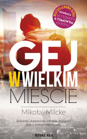 Gej w wielkim mieście. Tom 1